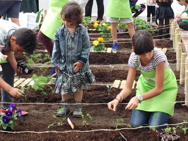 Huerto Escolar En Parades En Crestall Siembra Colegio